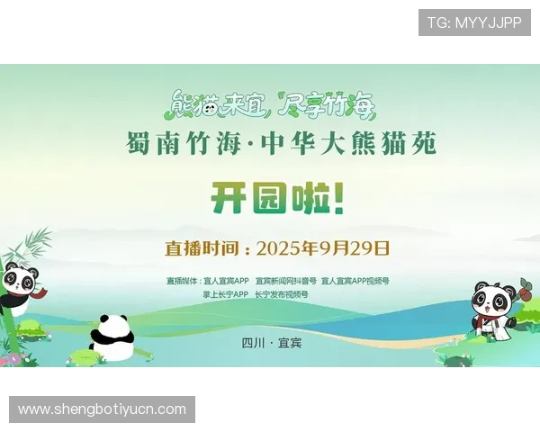 如何在熊猫直播平台上快速找到优质主播，提升你的观看体验与互动乐趣